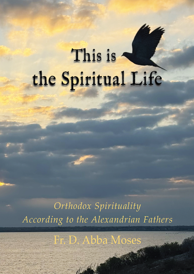 This is the Spiritual Life | St. Mary & St. Moses Abbey Press